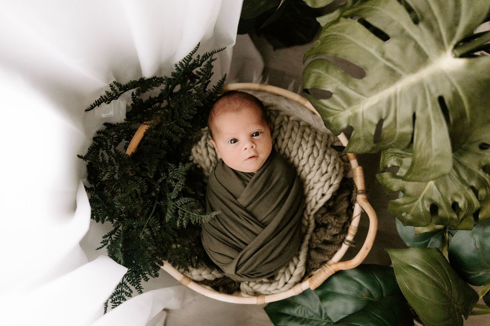 A decorative basket filled with fresh bread loaves sits among lush green monstera leaves in a moody setting.