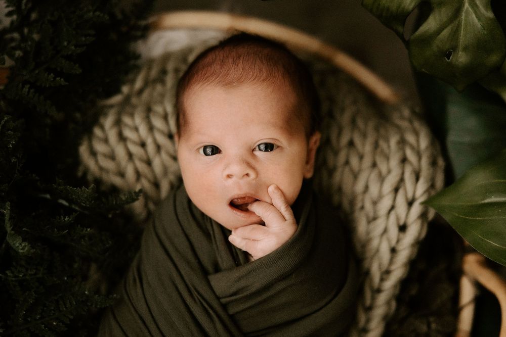 A baby wrapped in olive green fabric lies in a cozy knit blanket surrounded by greenery.