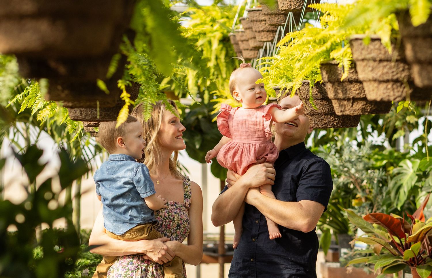 A sunny family moment surrounded by hanging ferns and greenery in a greenhouse.