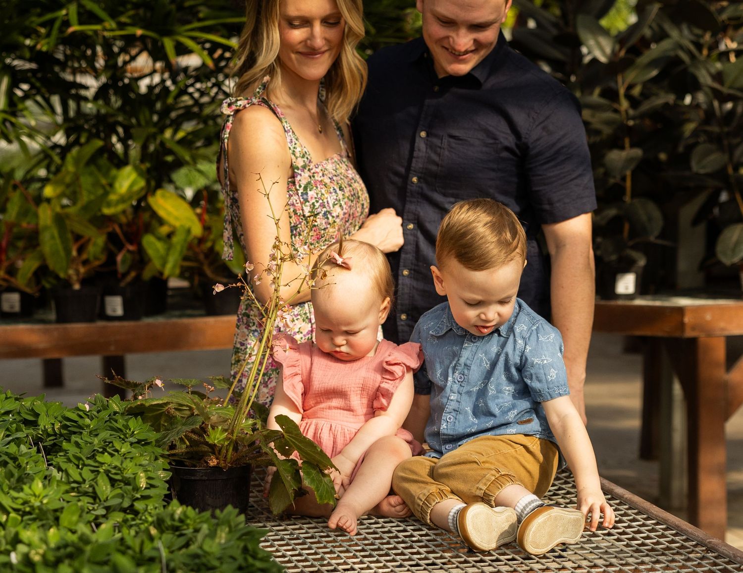 A family gathered around plants on a greenhouse bench during a sunny afternoon.