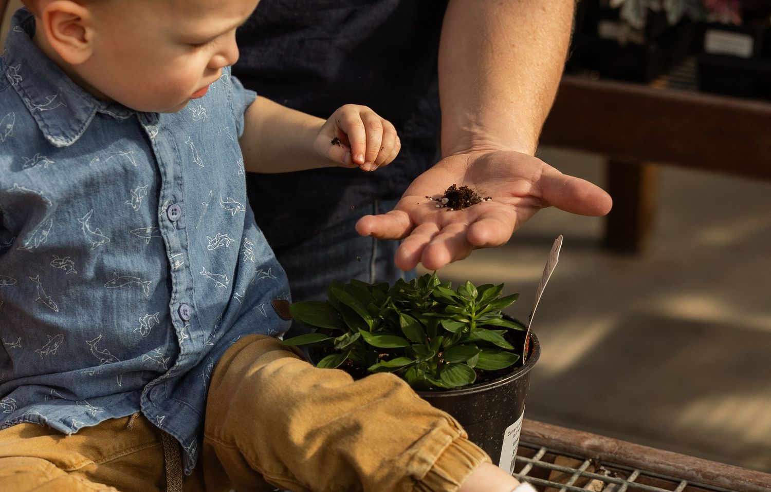 Close-up of hands planting or gardening in a greenhouse setting.