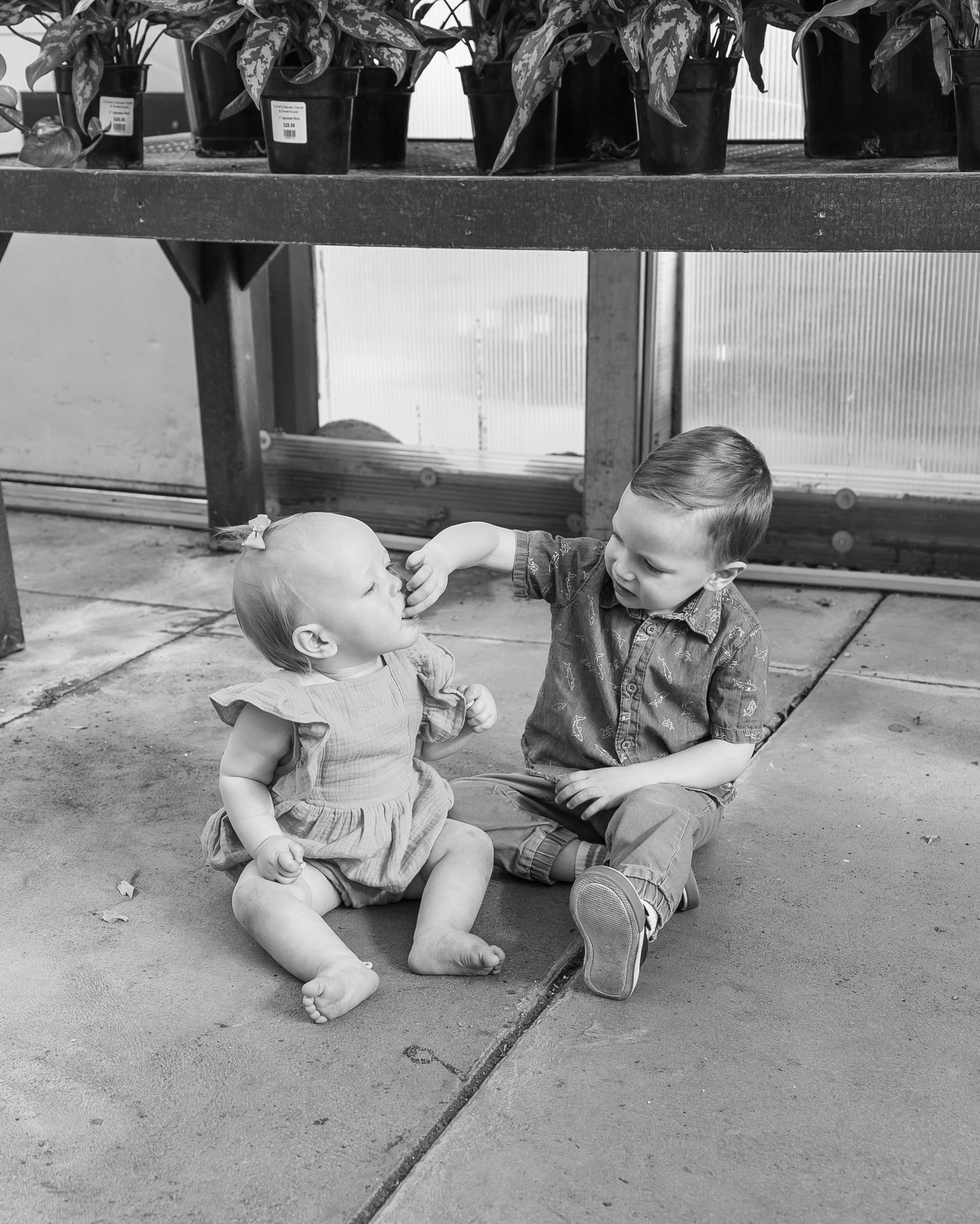 Black and white image showing people examining plants on greenhouse floor.