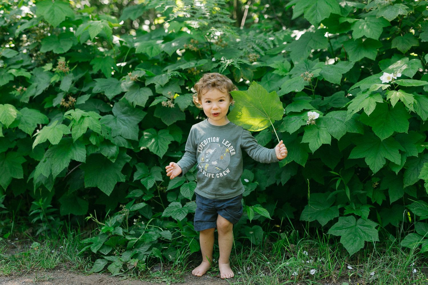 A child stands among large leafy green plants in a garden setting.