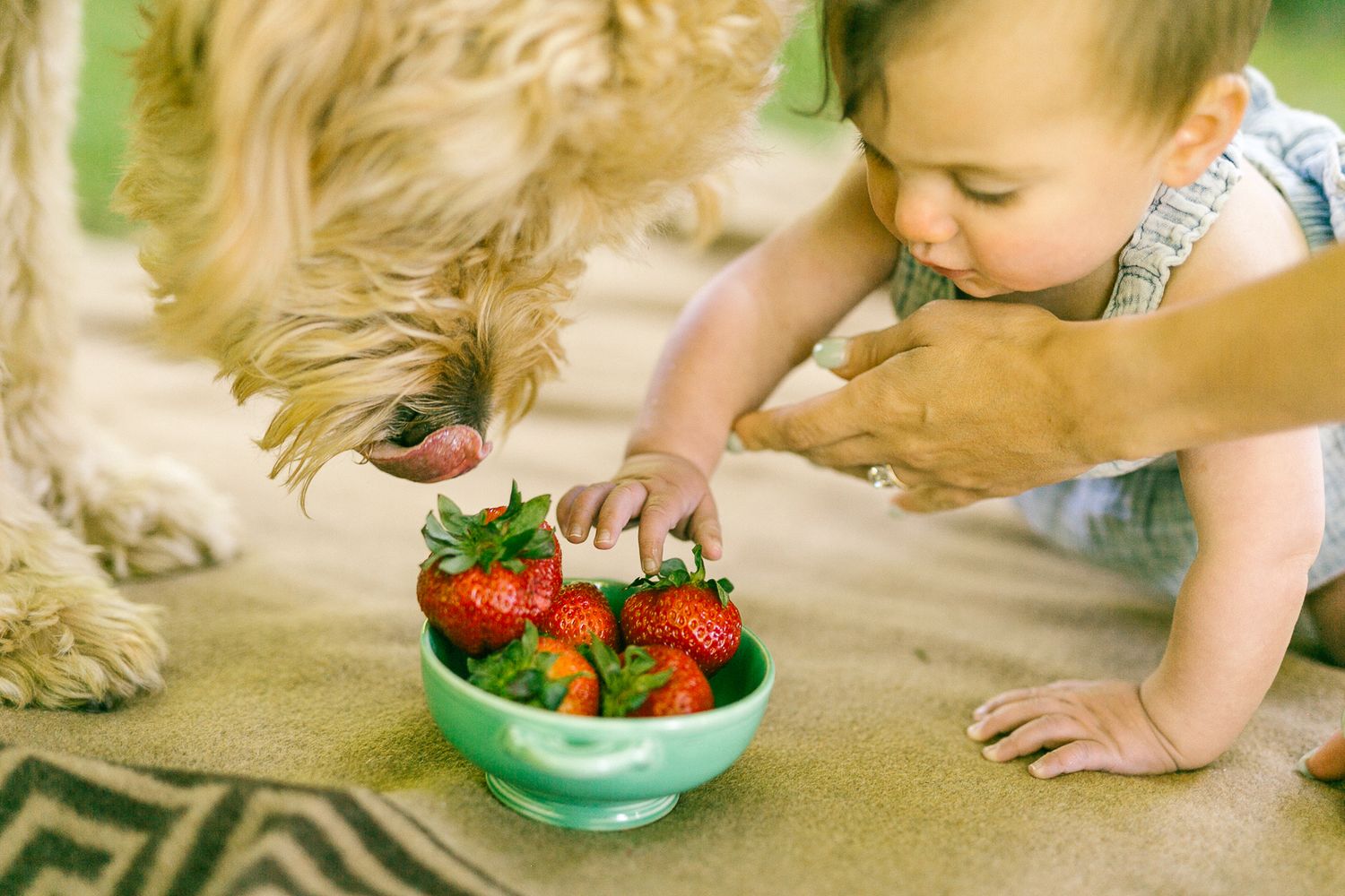 A small hand reaches into a green bowl filled with fresh red strawberries and green leaves.
