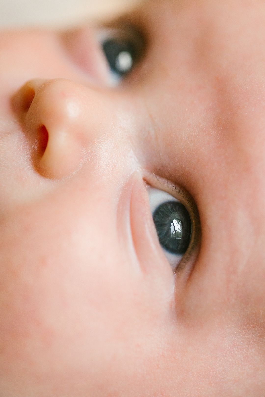 Extreme close-up macro photo of dark blue baby eyes and soft skin.