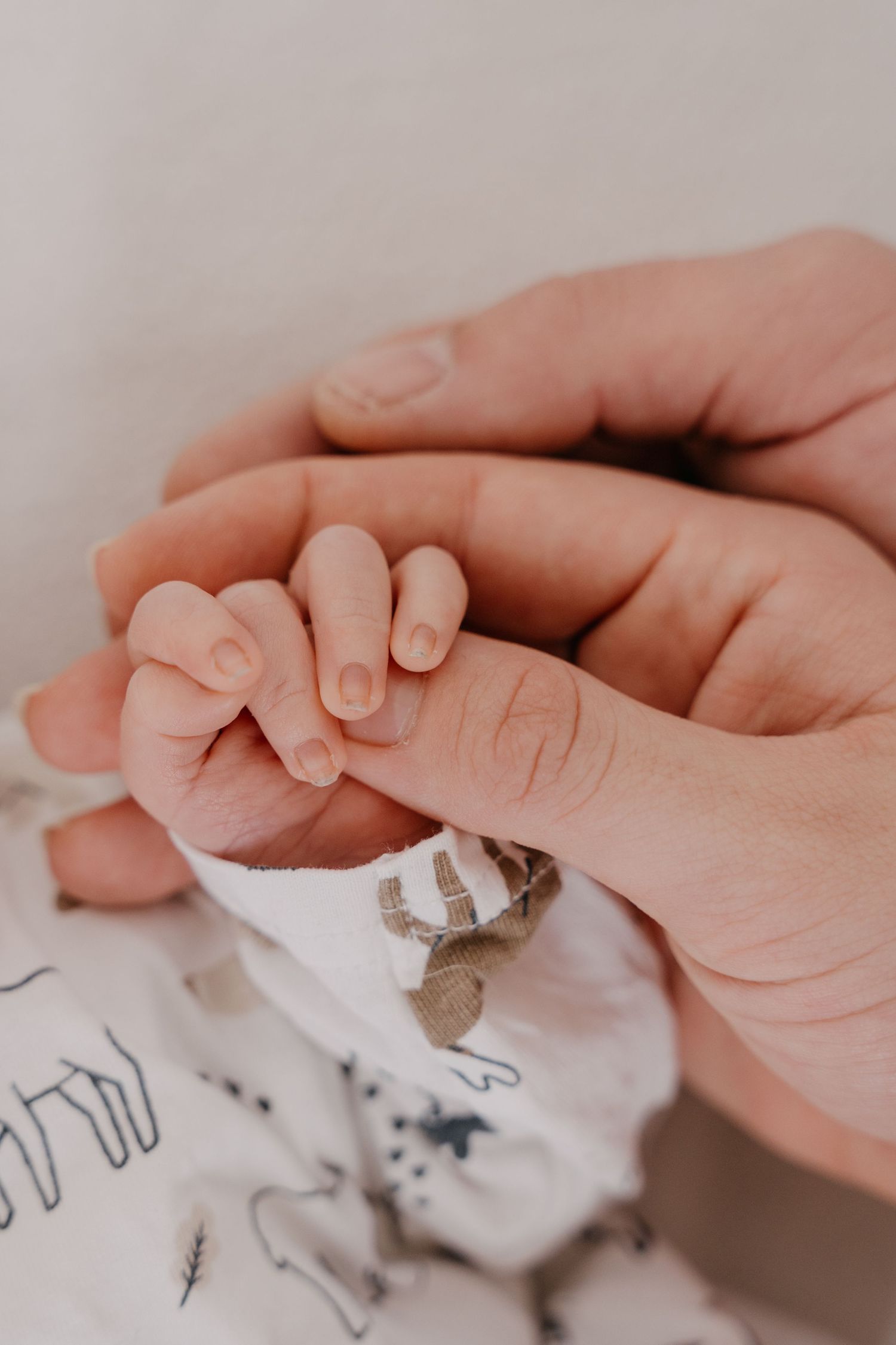 Close-up view of hands gently holding and examining a small white object with dark markings.