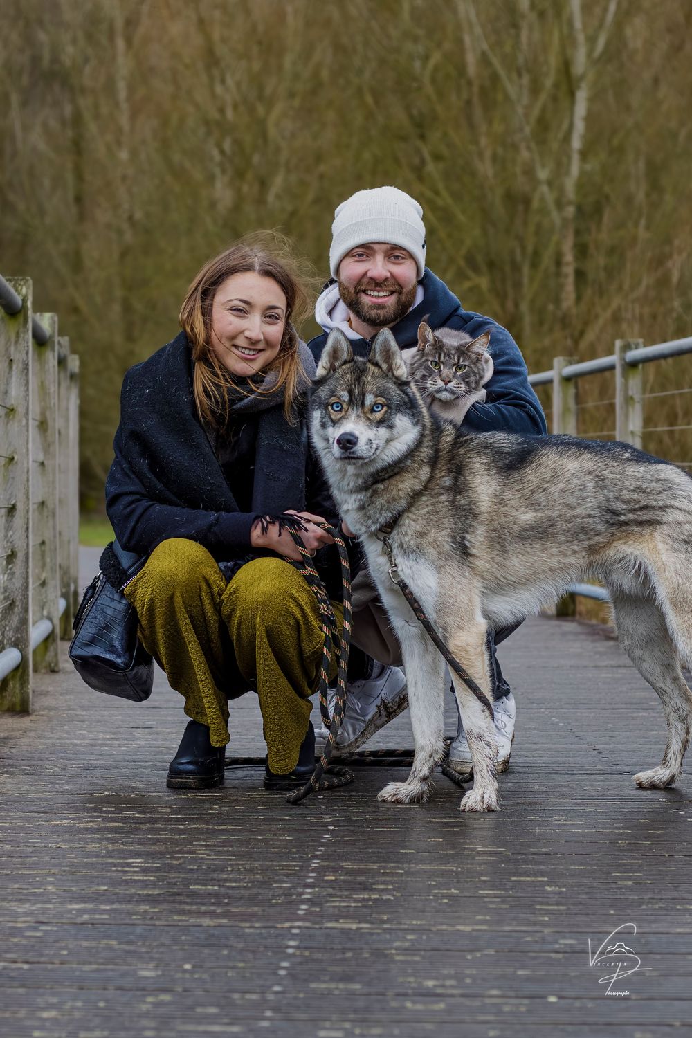 A husky and cat pose together with their companions on a wooden deck outdoors.