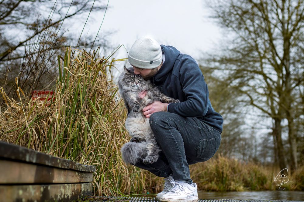 A husky and cat interact playfully with their companions in an outdoor setting.