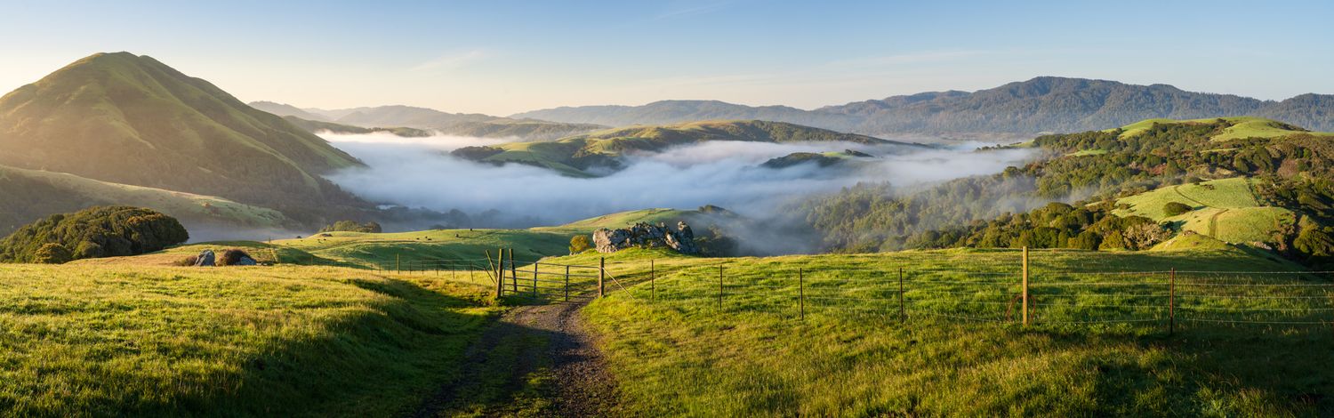 Rolling green hills stretch across a misty coastal landscape with mountains in the distance and morning fog settling in valleys.