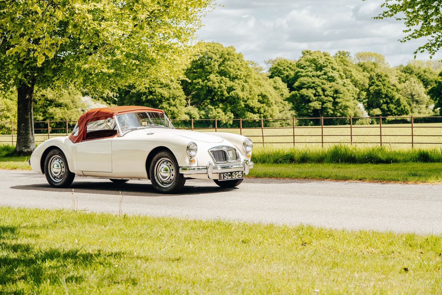 Luxury sports cars driving on winding road with motion blur effect.