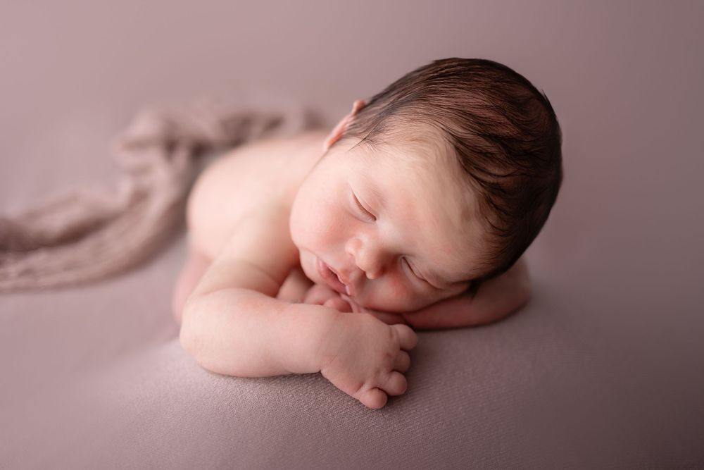 Studio newborn photographer Davison Michigan