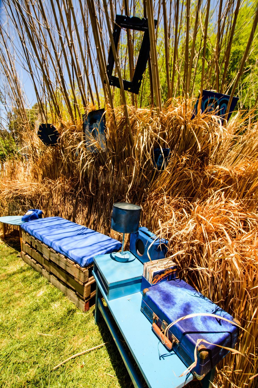 A sequence showing the setup of a blue camping tent or canopy against tall dried grass and bamboo in a backyard setting.
