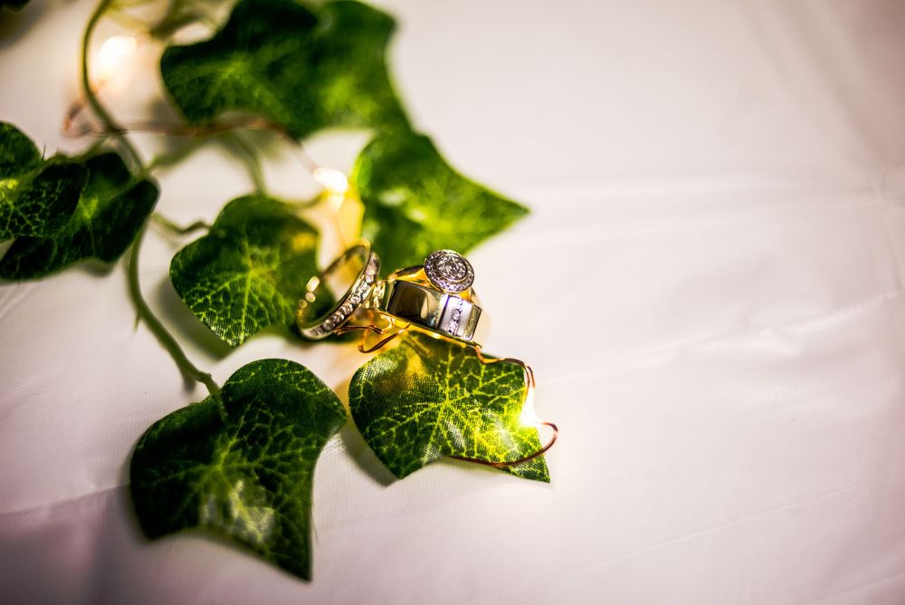 Close-up macro photography of green ivy leaves with water droplets against a soft blurred background.