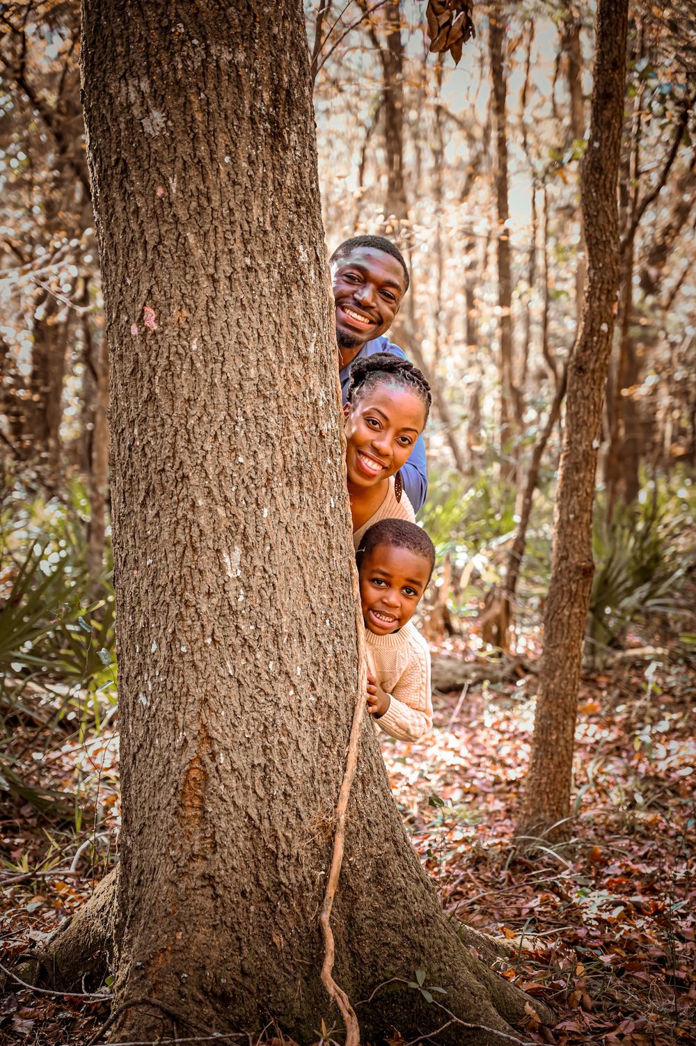 A playful scene in autumn woods shows someone peeking out from behind large tree trunks in a sequence of photos.
