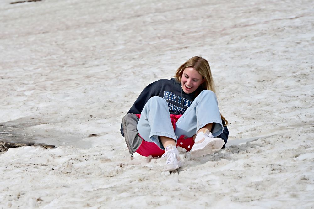 sledding down Logan pass in glacier national park