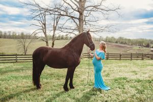 A majestic dark horse poses with someone in a blue gown against a rustic fence backdrop.