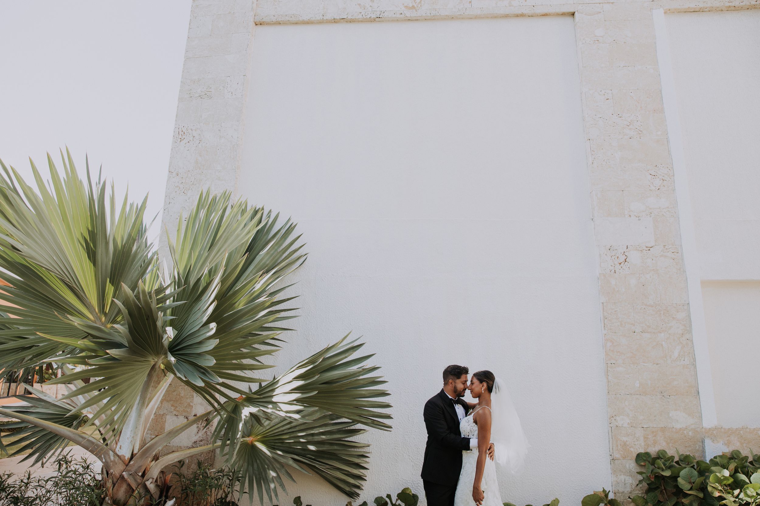 Wedding couple shares romantic moments against white walls surrounded by tropical palm fronds and sunshine.