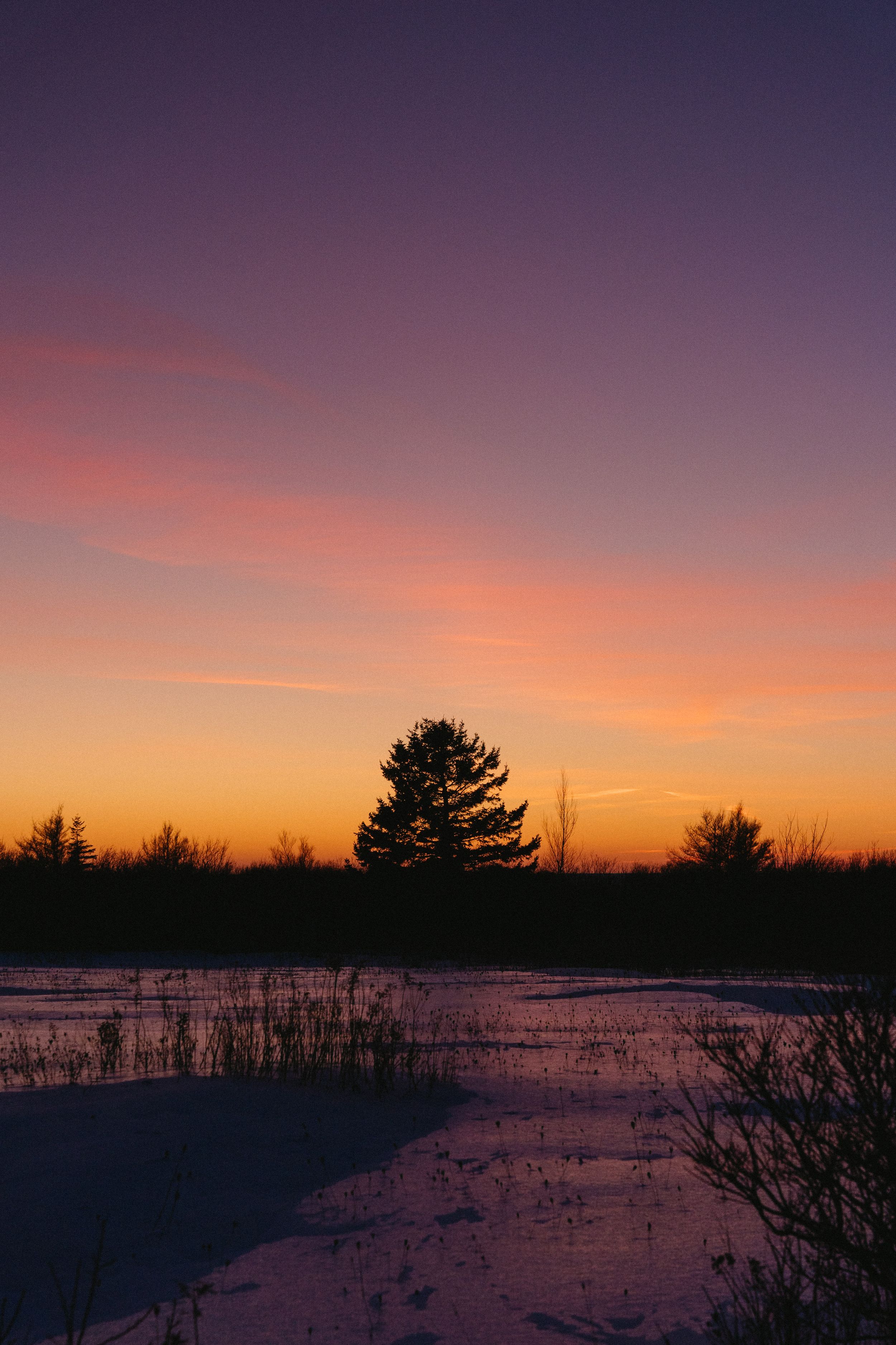 Prince Edward Island landscape