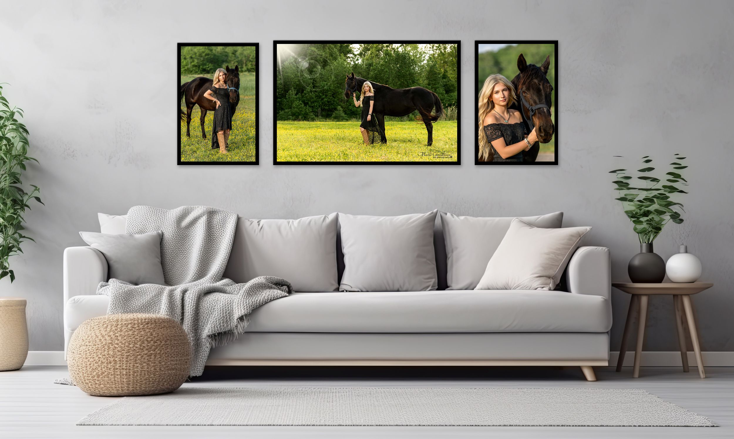 Three framed photos displayed above a modern gray couch with decorative pillows and potted plants in a living room.