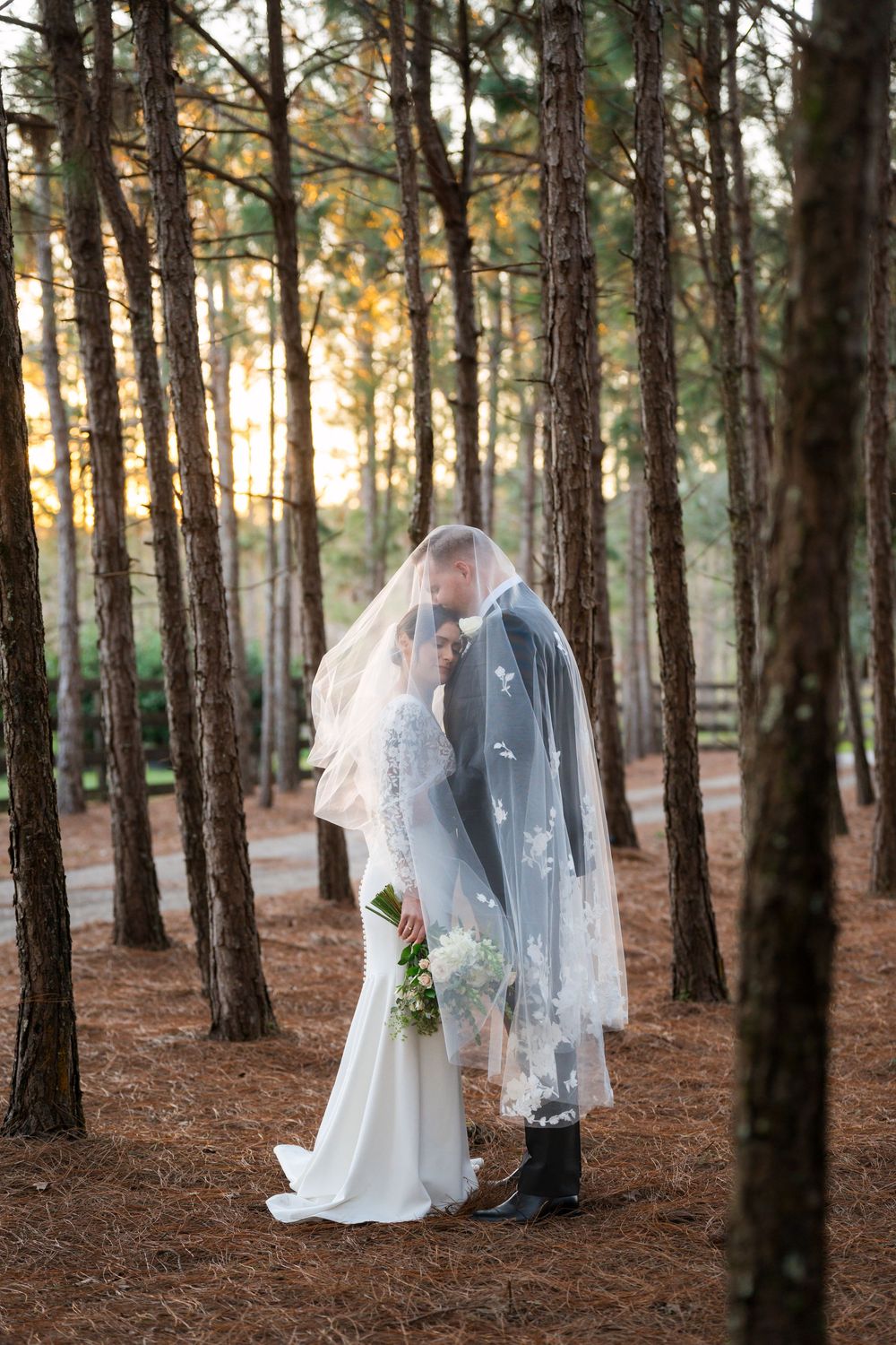 A creative multiple exposure wedding portrait capturing moments of a couple among tall pine trees at sunset.