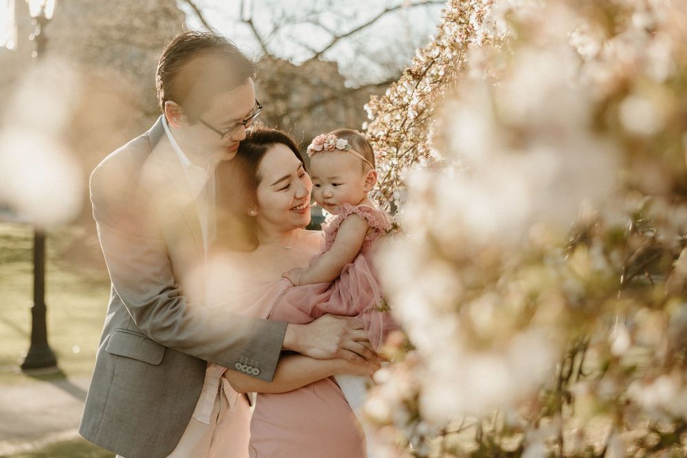 Romantic couple embraces among blooming cherry blossom trees on a sunny spring afternoon.