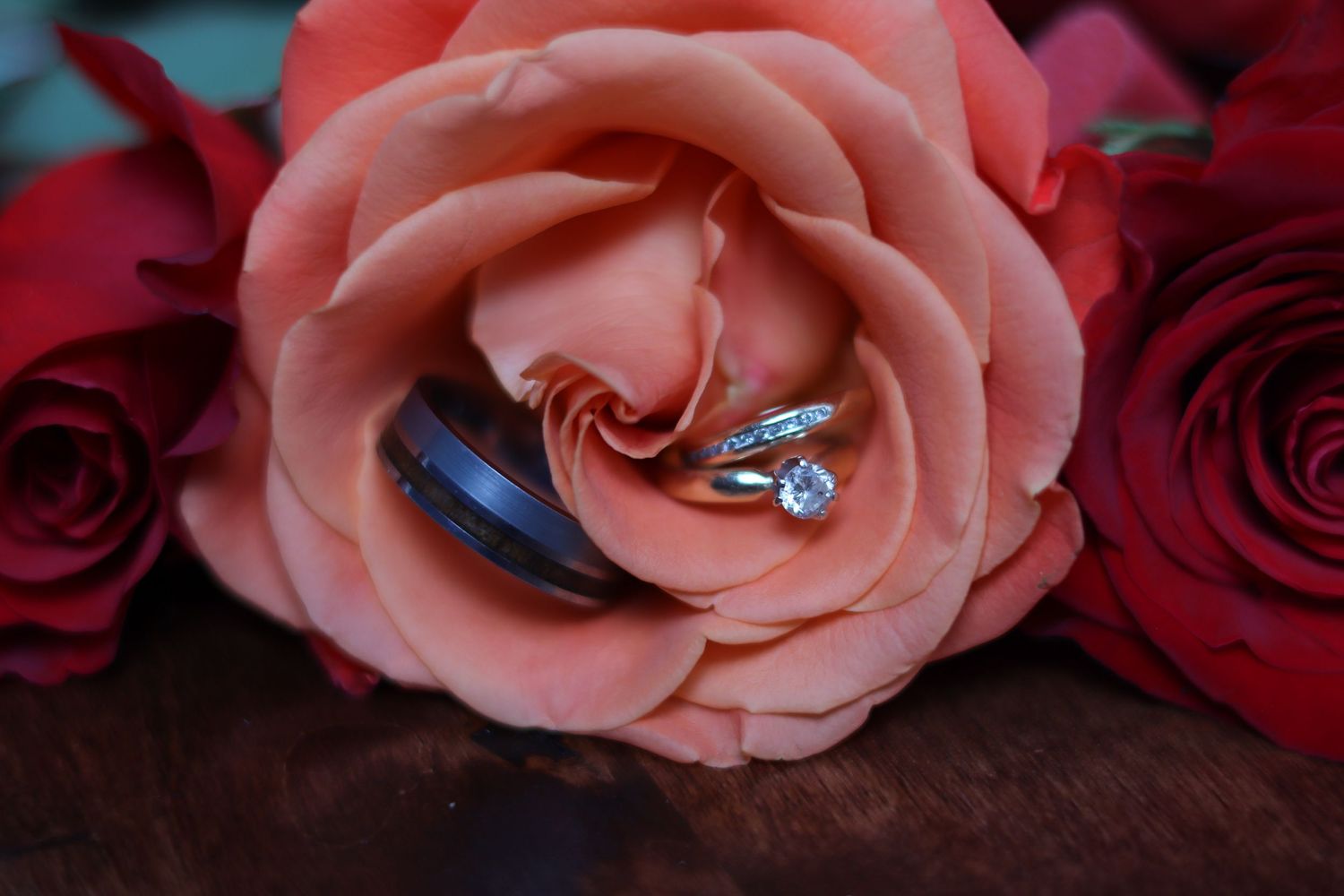 A sparkling diamond engagement ring nestled inside a pink rose bloom with red roses in the background.