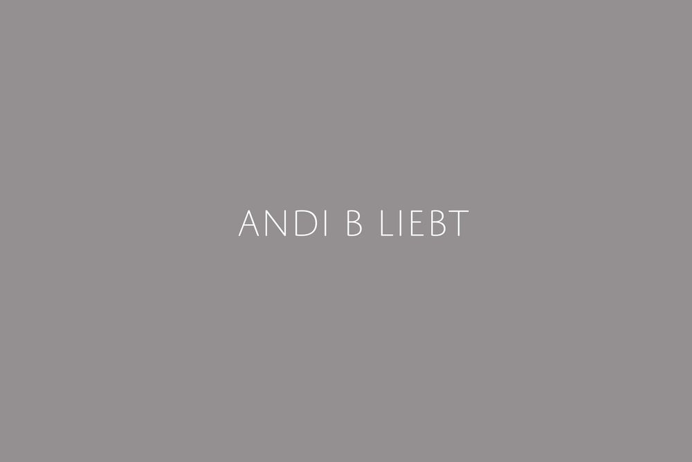 weißer Text auf einem grauen Untergrund: ANDI B LIEBT für eine Business Seite