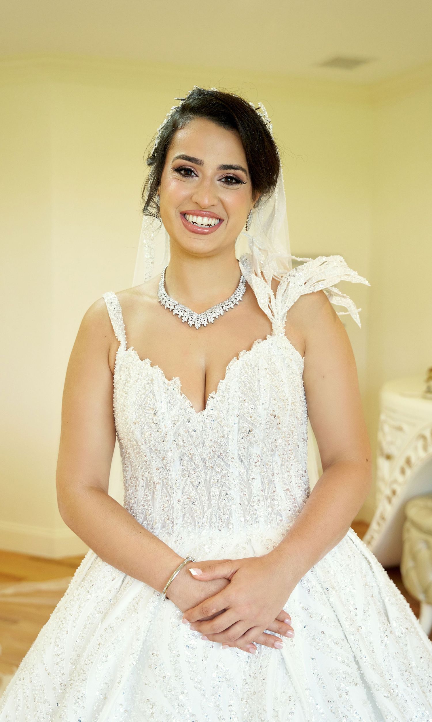 Elegant bride in lace ballgown wearing crystal necklace and veil against light background.