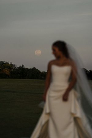 A bride in an elegant white strapless gown stands in a field at dusk with a dramatic cloudy sky backdrop.