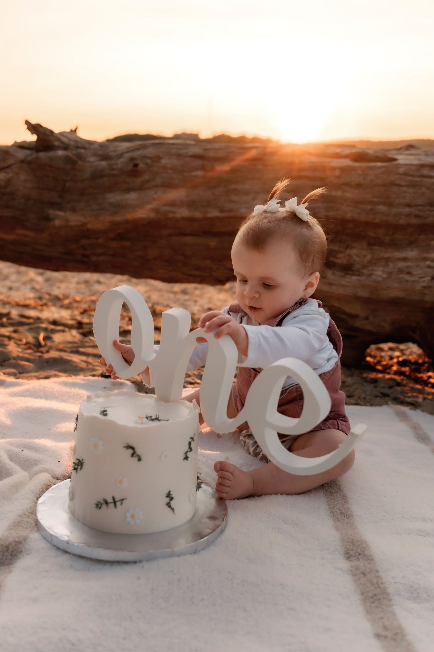 Cake Smash Photo, Portland Maine