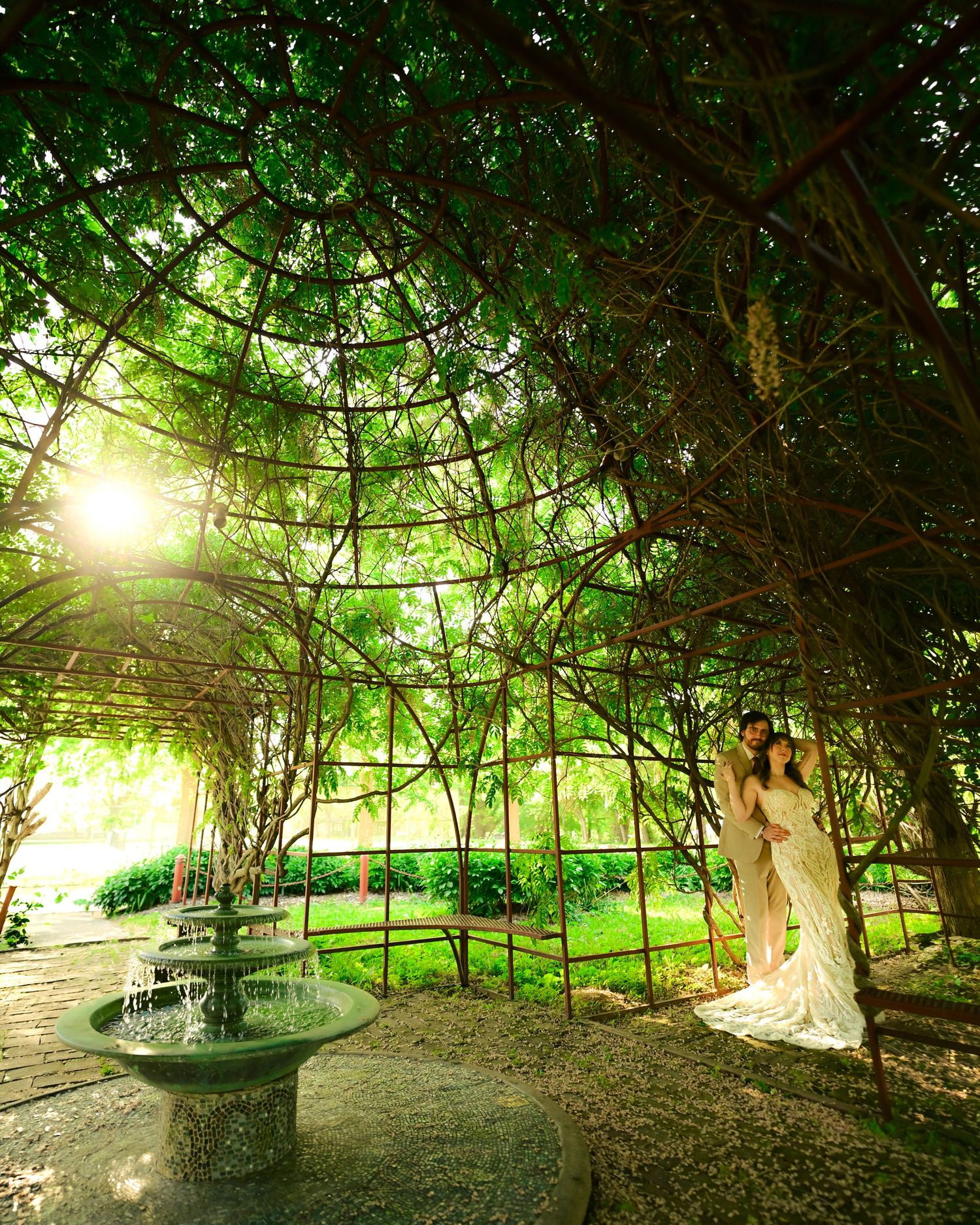 Wedding couple embraces between tall cypress trees during golden hour.
