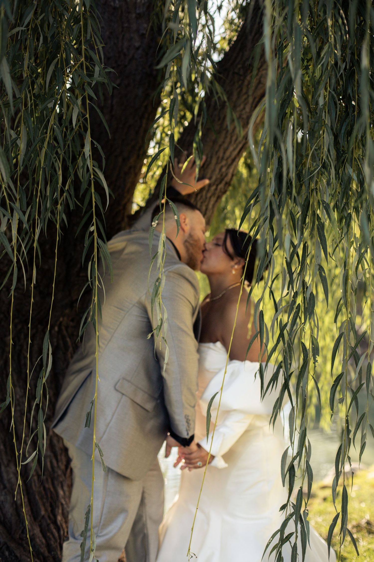 A wedding portrait of a couple under a willow tree in Saint Clair Shores, Michigan.