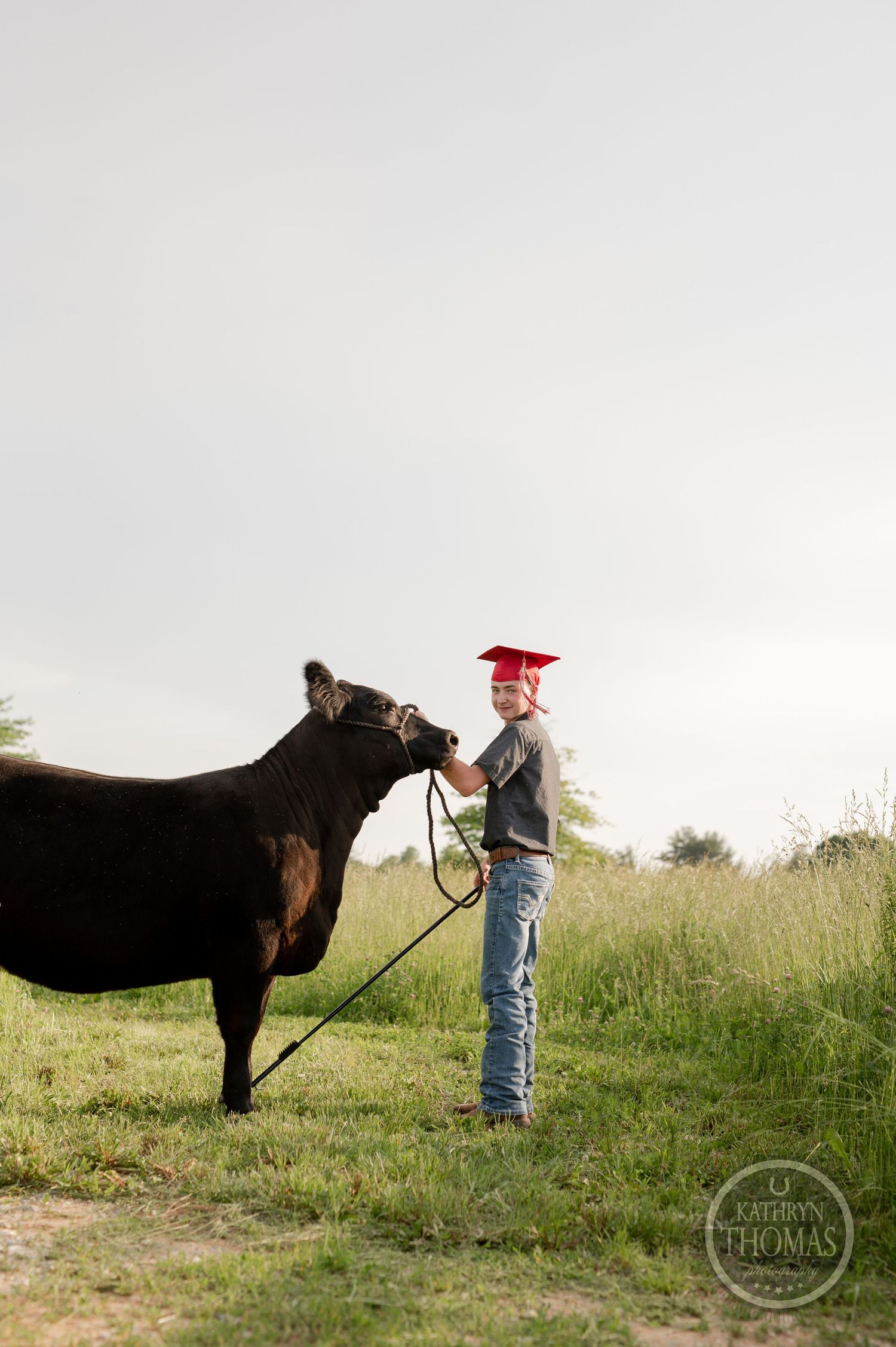 A graduate in cap and jeans stands with a large black cow in a summer pasture.