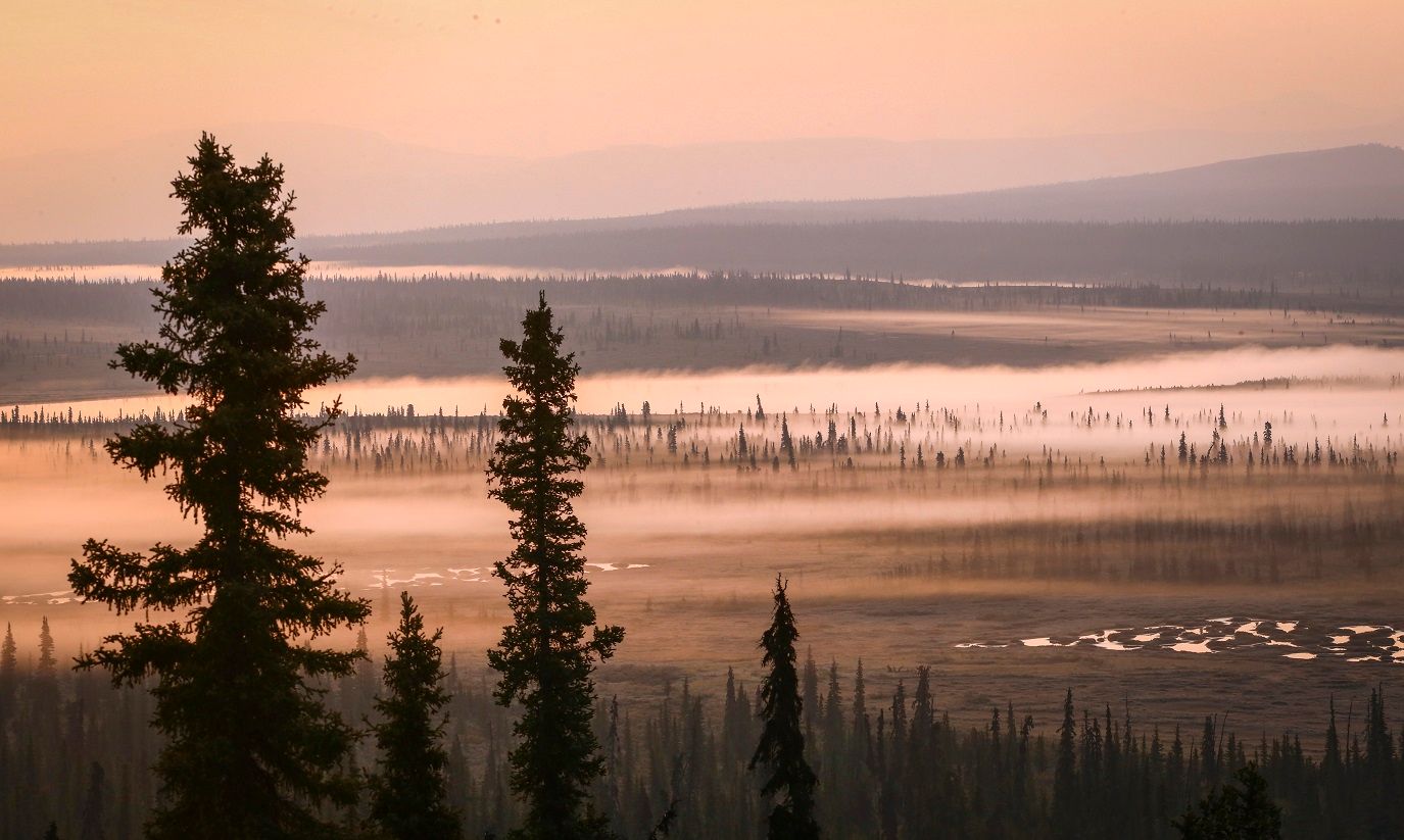 Fotograf mentor. Photography mentorship. Nature photography. Private photography workshops.