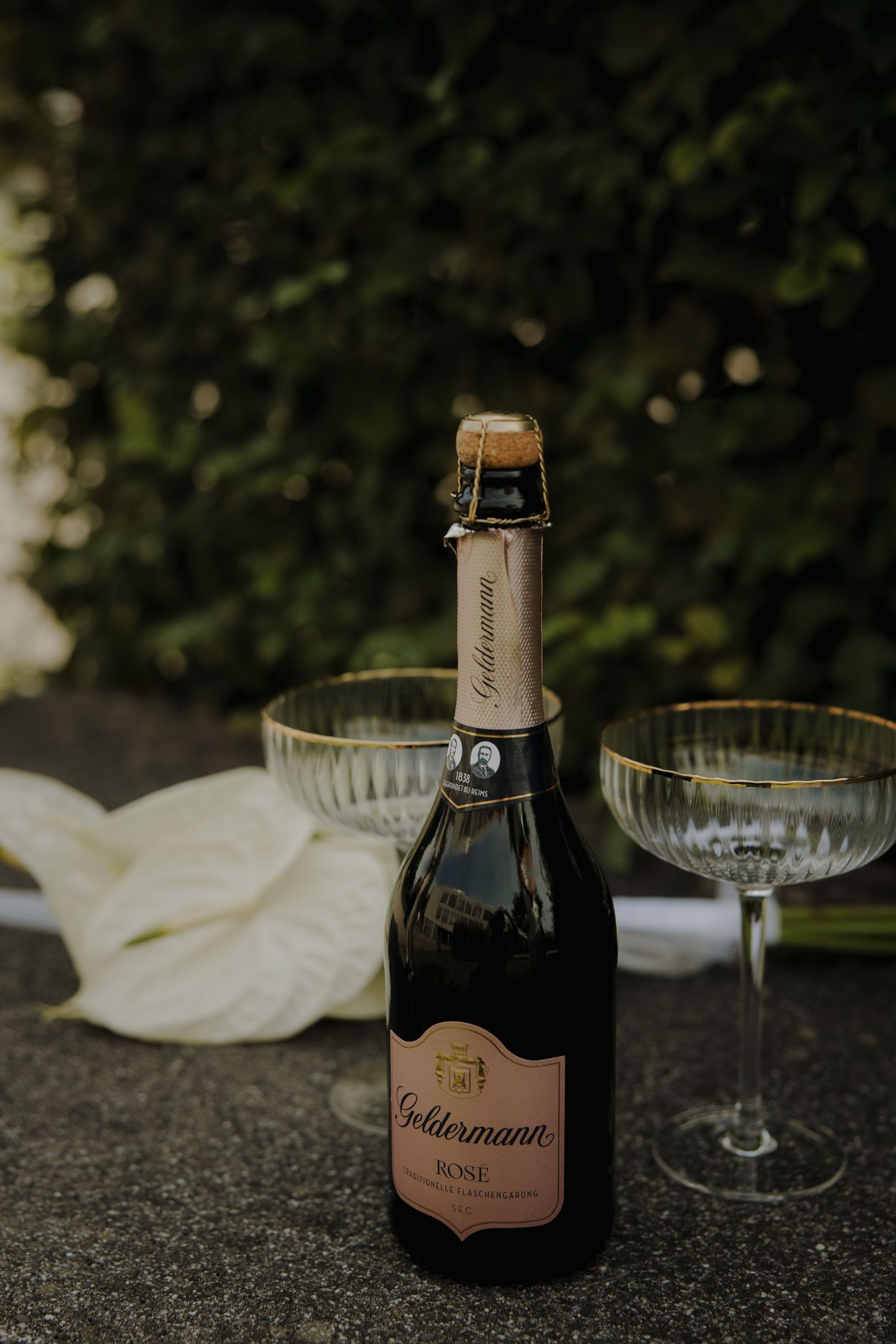 Bottle of Geldermann sparkling wine with champagne glasses and white flowers on dark surface.