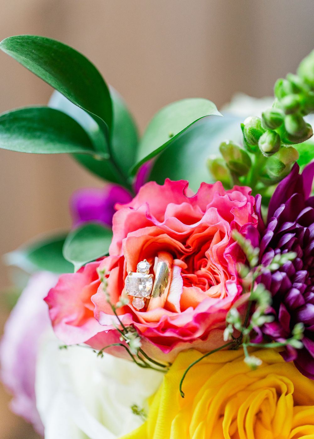 Wedding rings displayed on pink rose petals with purple dahlia flowers and green foliage.