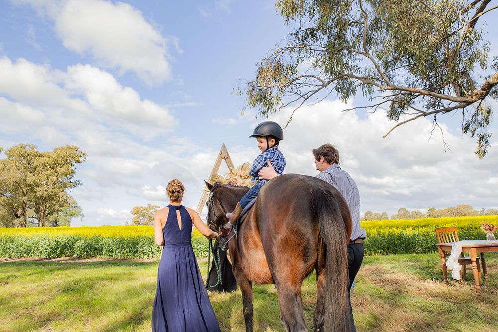 People gather around a large brown horse in a country field with yellow canola flowers and blue sky in the background.