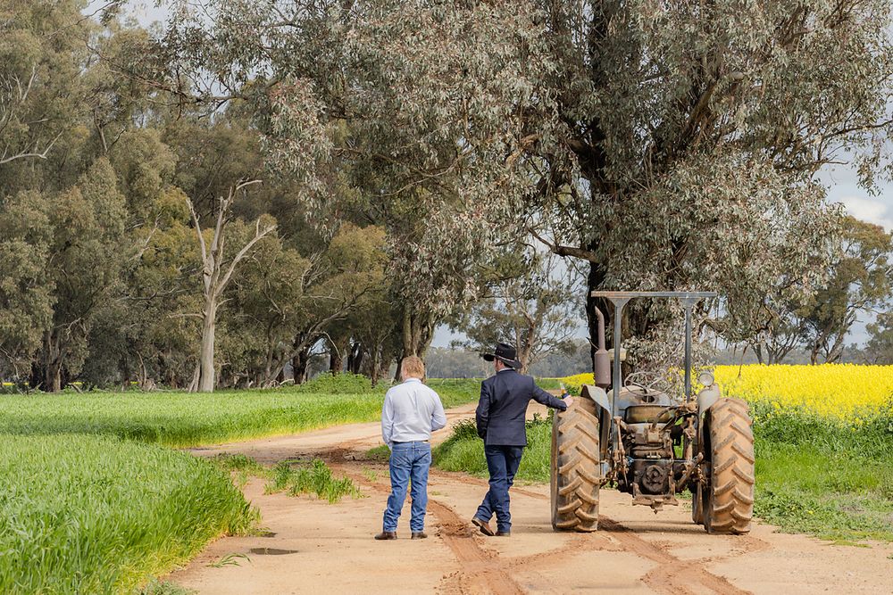 Two farmers walk down a dirt path next to a yellow canola field and tractor in rural countryside.