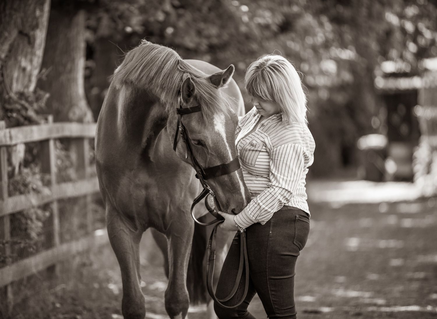 A brown horse and person stand together in a woodland clearing filled with blooming bluebells.