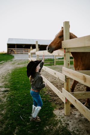 A horse peeks over a wooden fence at a person reaching up to greet it at a rural stable.