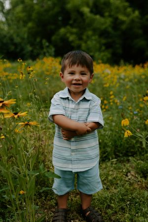 A playful scene in a wildflower meadow with yellow black-eyed susans blooming in the background.
