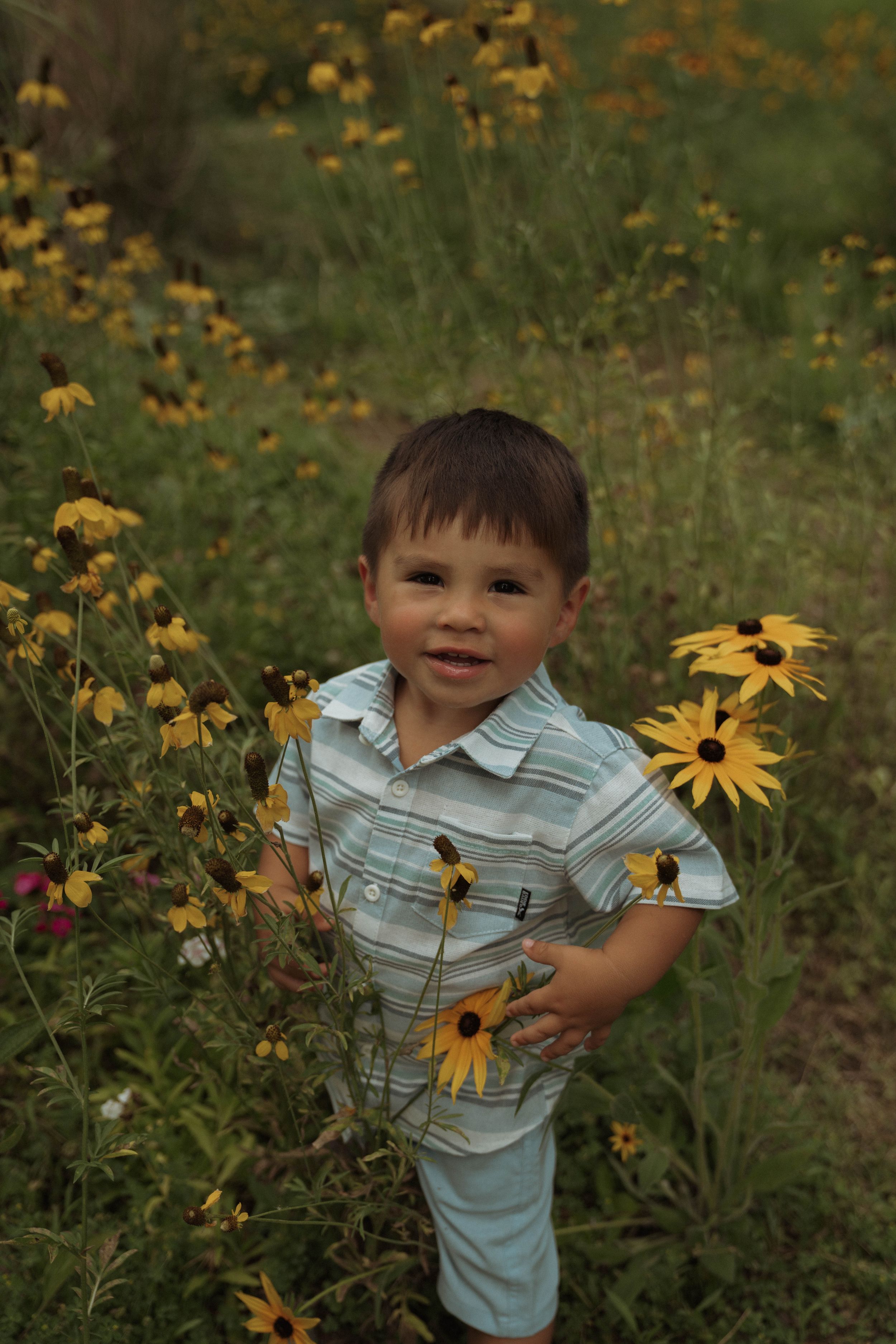 A small child plays among blooming black-eyed susan flowers in a summer garden.