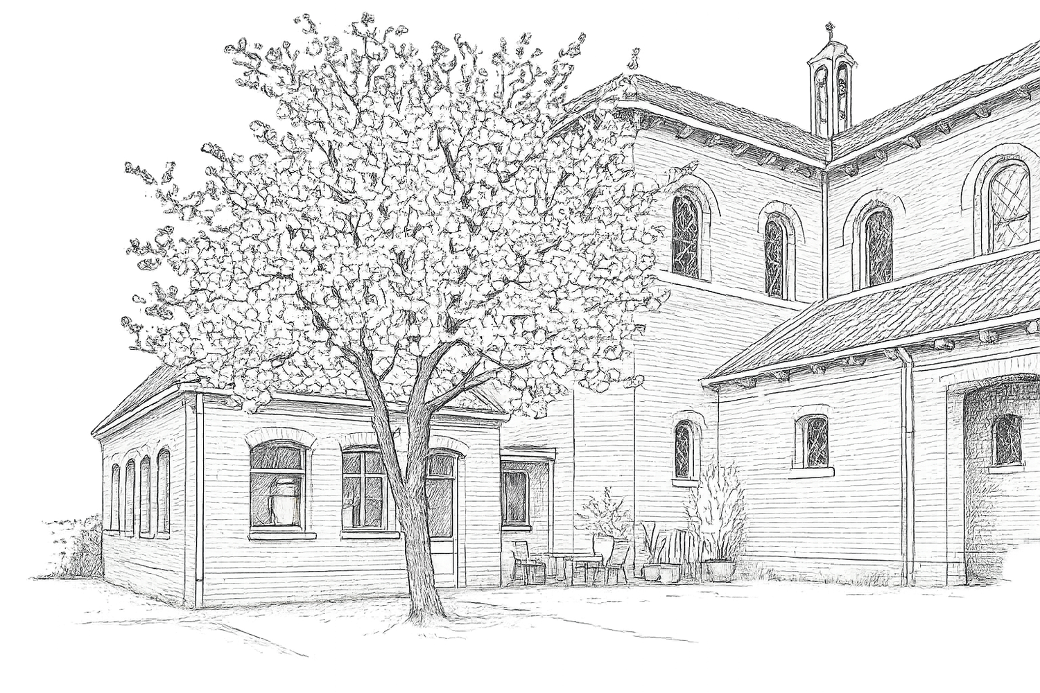 Detailed pencil drawing of a classic building exterior with a blooming tree in front.