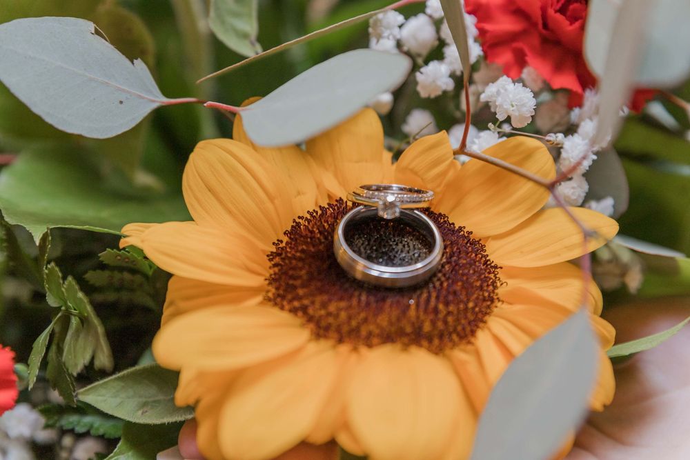 A silver wedding ring rests on top of a golden sunflower bloom surrounded by green leaves and red flowers.