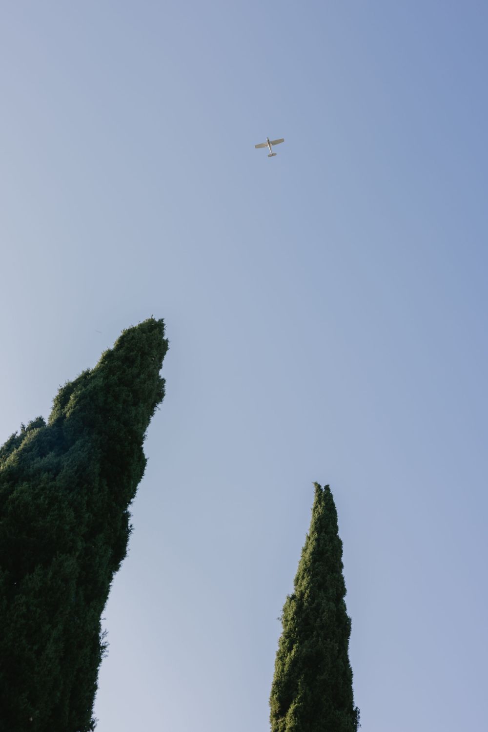 A small airplane flies high above dark green cypress trees against a clear blue sky.