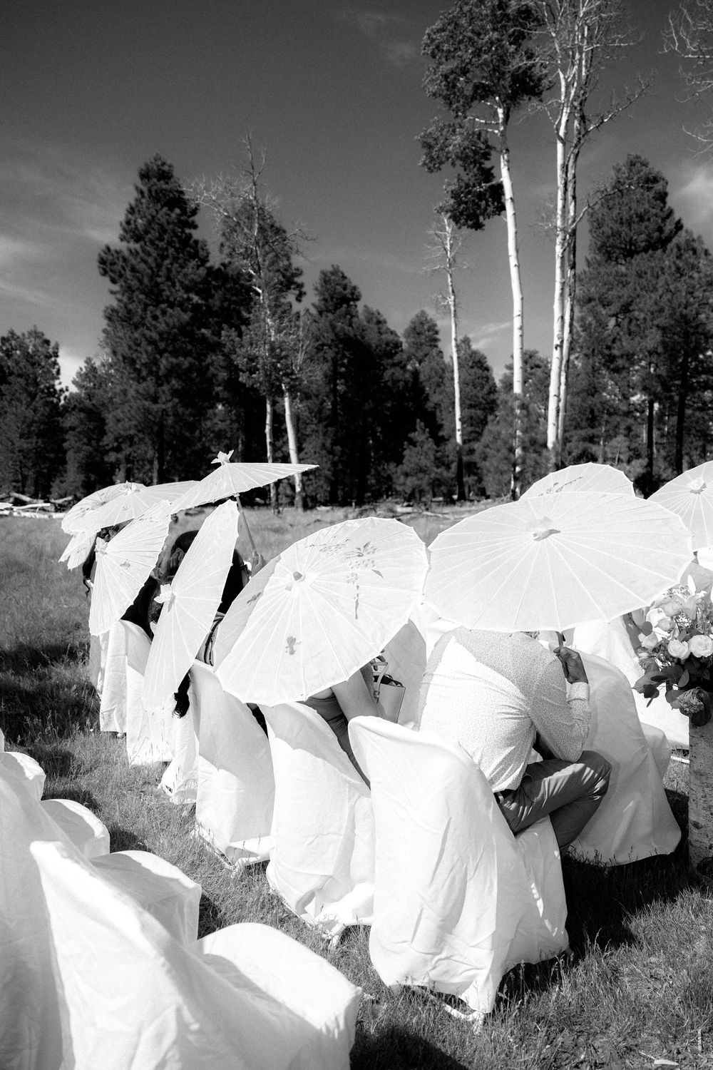 A series of black and white photos showing dancers in flowing white dresses moving gracefully through a wooded area.