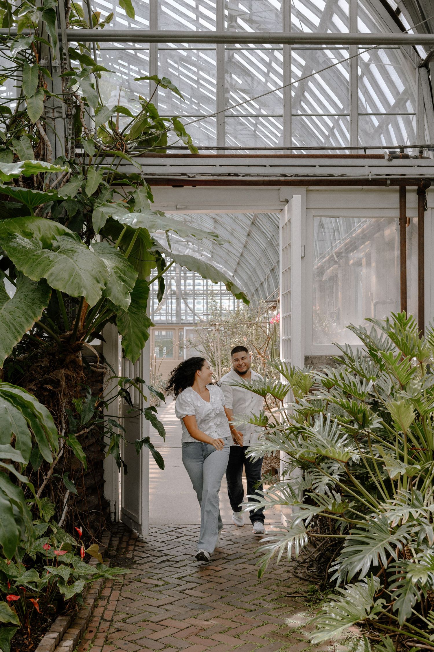 Couple exploring together in a bright, sunlit greenhouse filled with lush tropical plants and palm fronds.