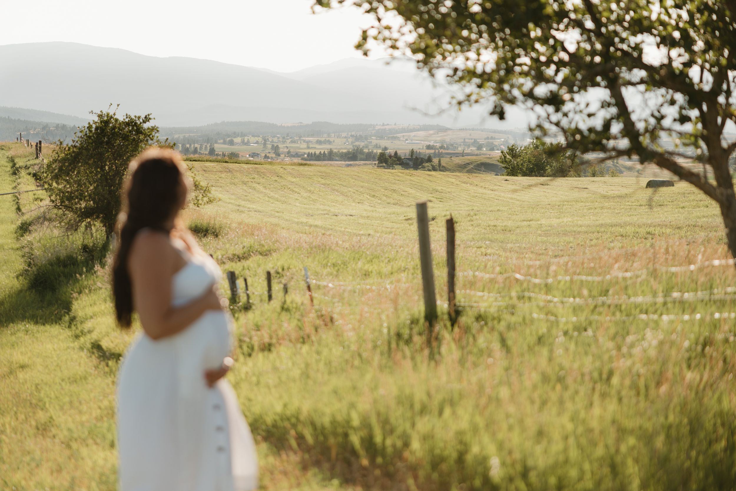 Person in a white dress stands in a serene golden meadow overlooking a distant mountain landscape.