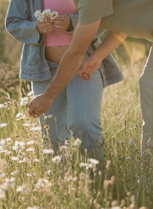 Hands lovingly touch wildflowers in a sunlit meadow wearing denim and holding dandelion seeds in warm evening light.