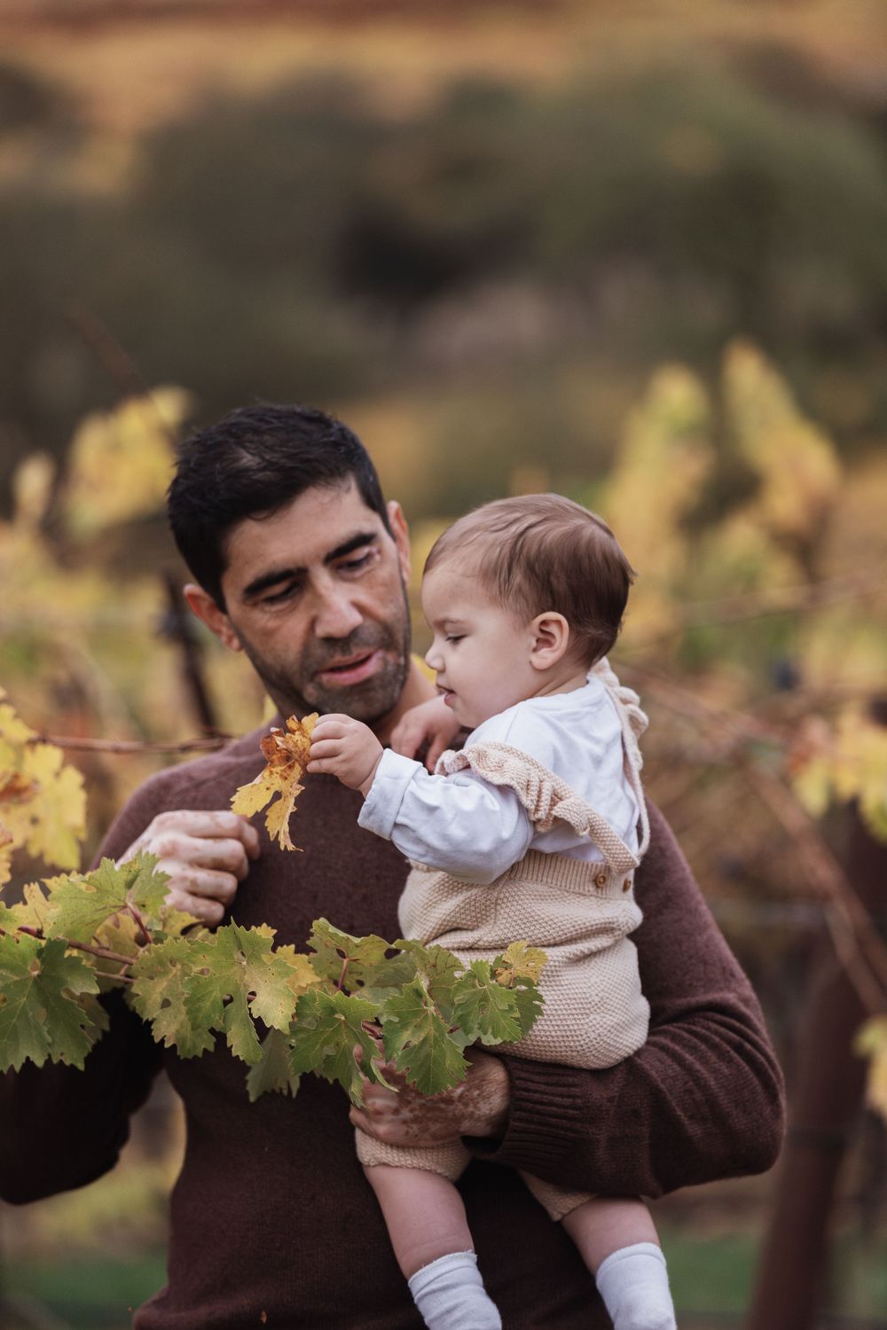 A tender moment showing two people exploring autumn grapevines together in warm golden sunlight.